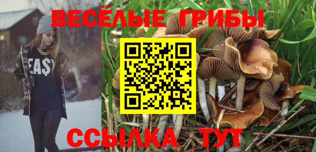 Ирбит  Галлюциногенные грибы MAGIC MUSHROOMS  Вход с VPN 